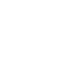 soty medal white