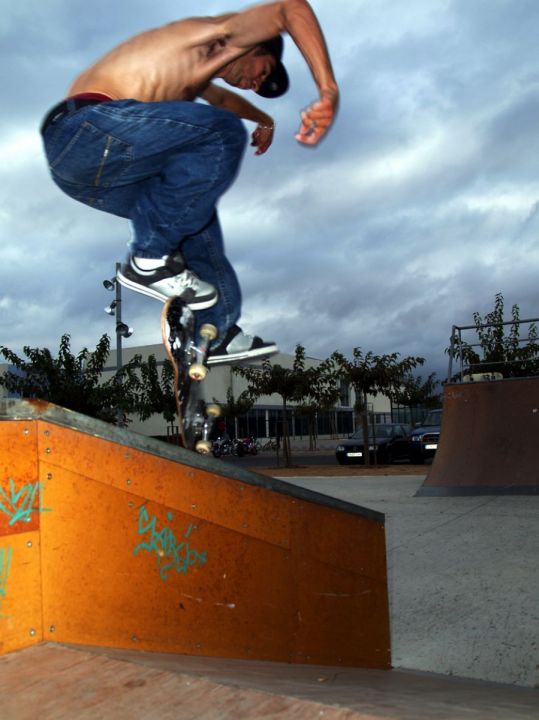 Pelayo varialflip 5050